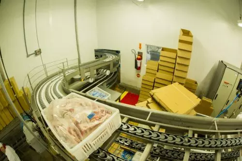 MERCADO CRESCENTE |  Exportações de carne suína do Brasil crescem em maio de 2025